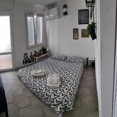 Garden Room Pisa Exteriör bild